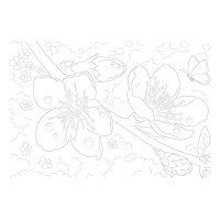 Открытка-раскраска «ТВОРЧЕСТВО ЖИЗНИ. Продолжение».